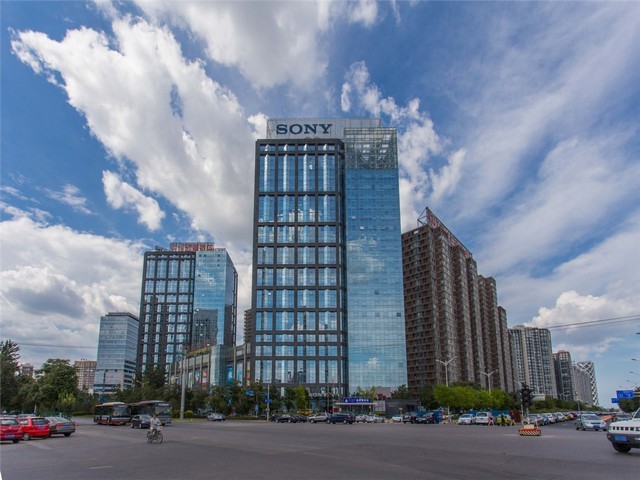 云南酒店立体绿化专业